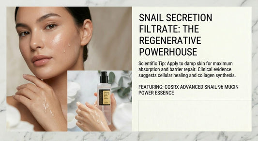Snail Secretion Filtrate: The Powerhouse